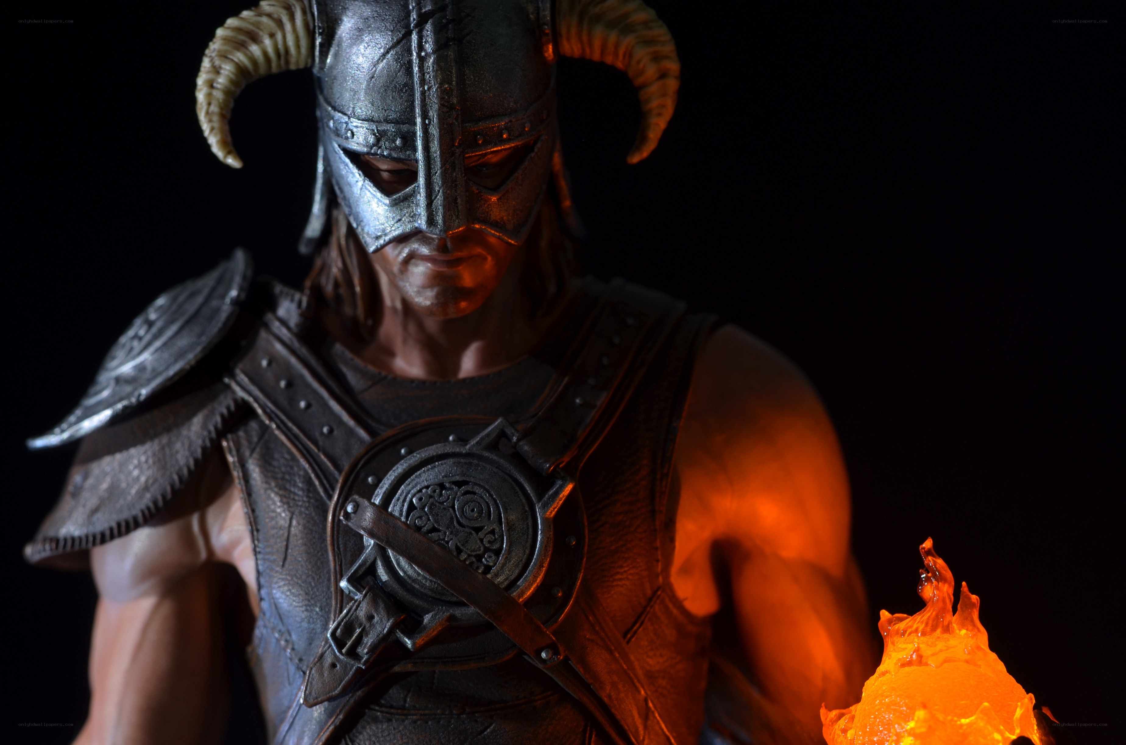 Dragonborn warrior with torch