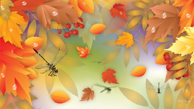 Dragonflies Among Autumn Leaves — Orange, Serene