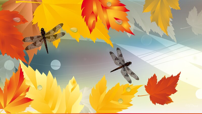 Dragonflies Among Autumn Leaves