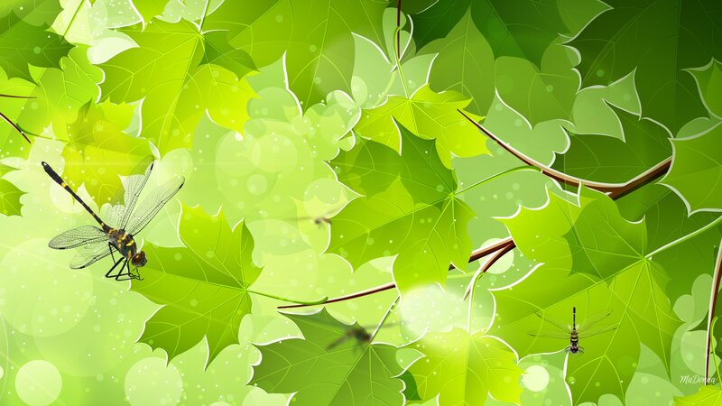 Dragonflies Among Leaves — Green