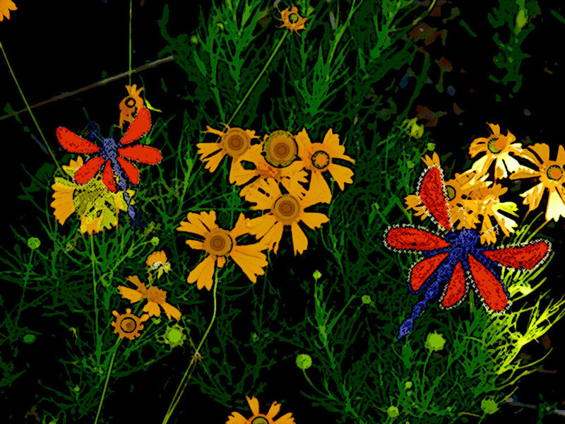 Dragonflies among yellow flowers