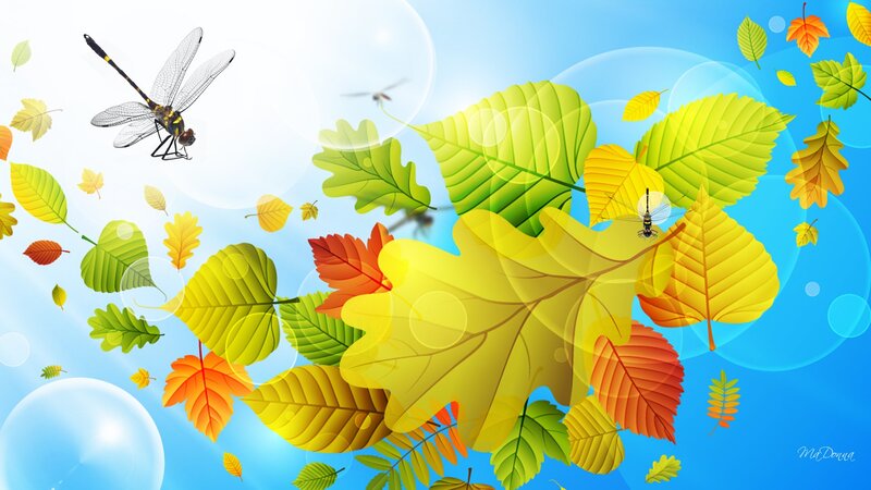 Dragonflies and Autumn Leaves