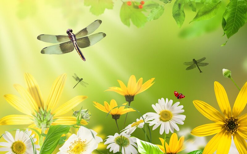 Dragonflies and Flowers — Green, Serene