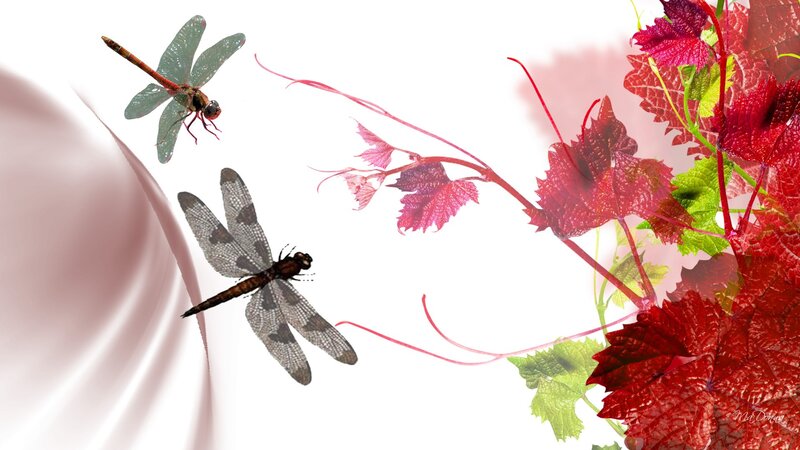 Dragonflies and Red Leaves