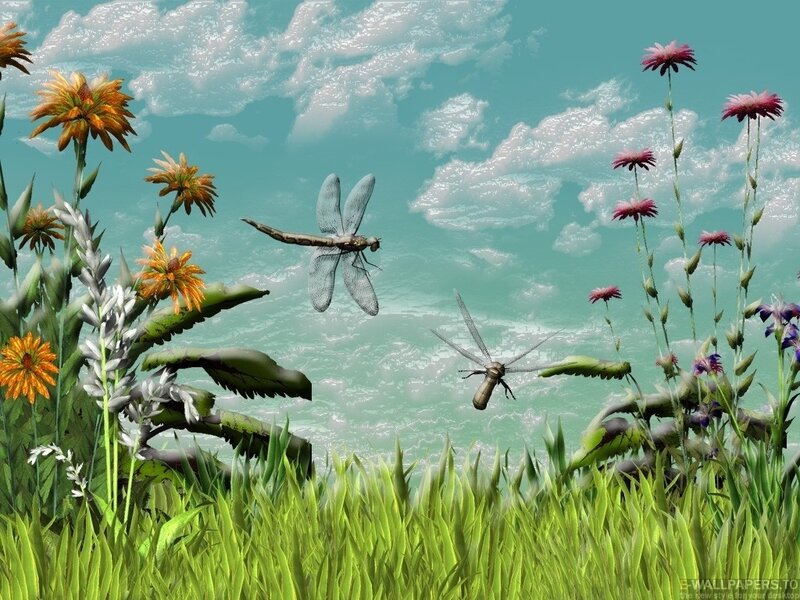 Dragonflies in a Meadow