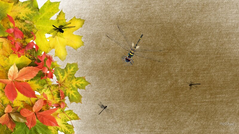 Dragonflies on Autumn Leaves — Yellow