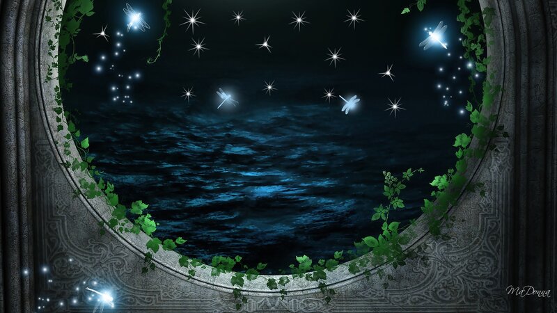 Dragonflies over Water