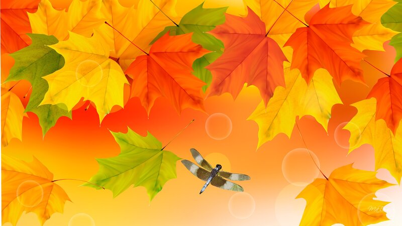 Dragonfly Among Autumn Leaves