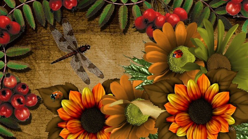 Dragonfly and Sunflowers