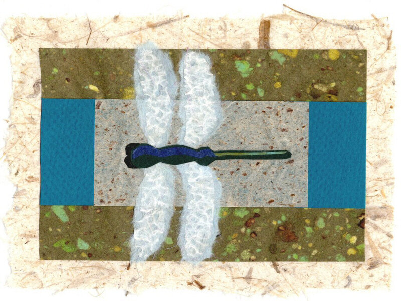 Dragonfly Collage