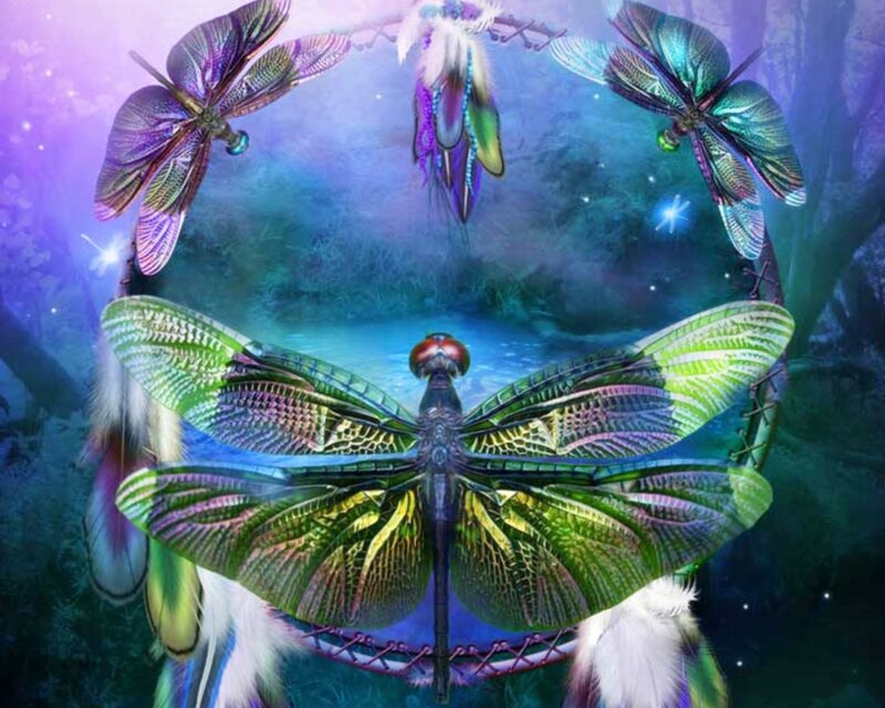 Dragonfly Dreamcatcher