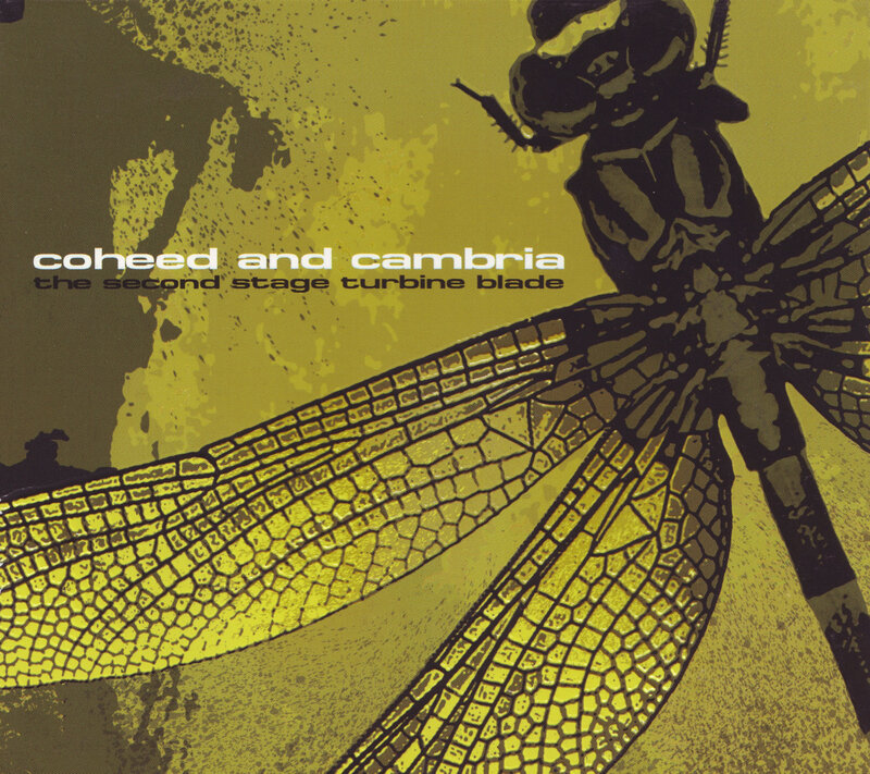 Dragonfly Illustration