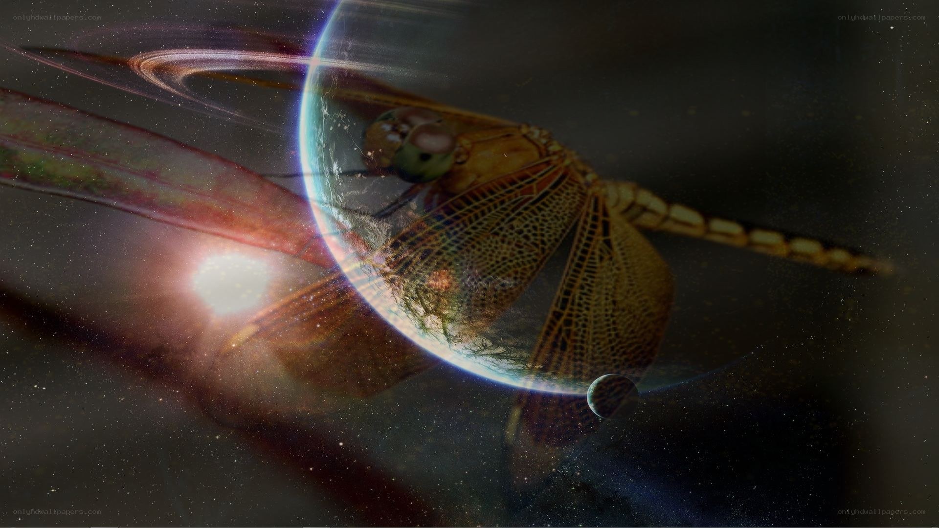 dragonfly in space