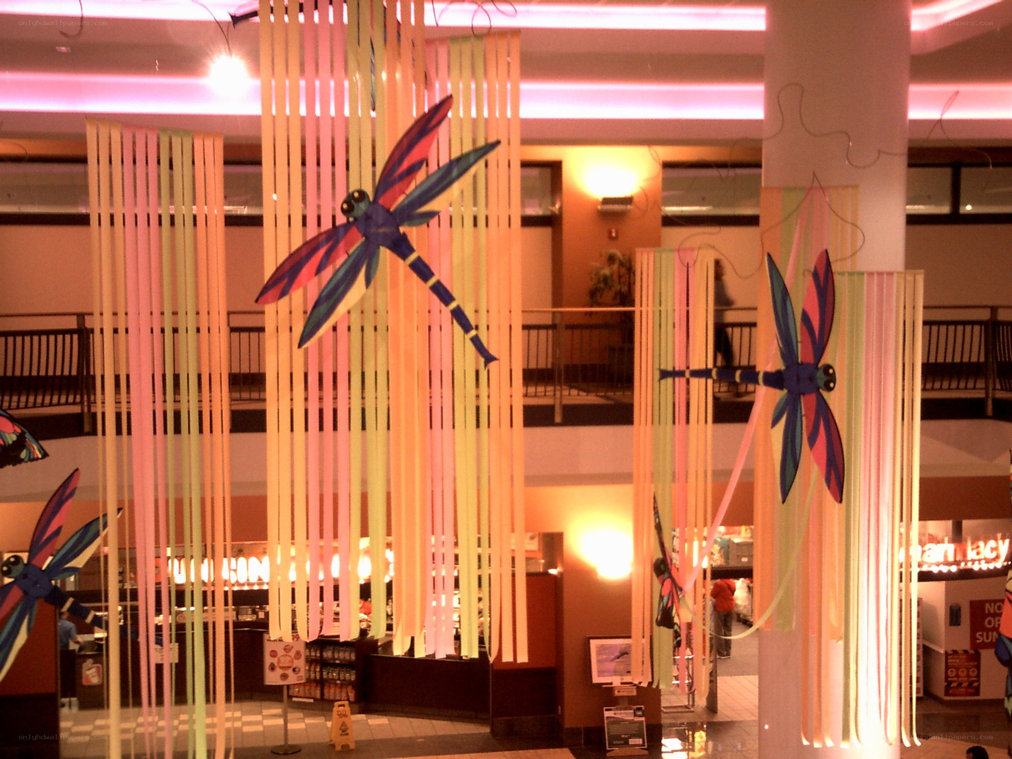 Dragonfly kites in a mall