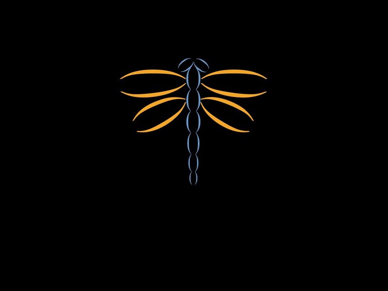 dragonfly logo design