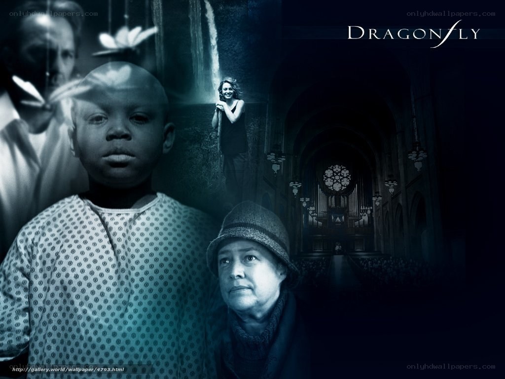 Dragonfly movie collage