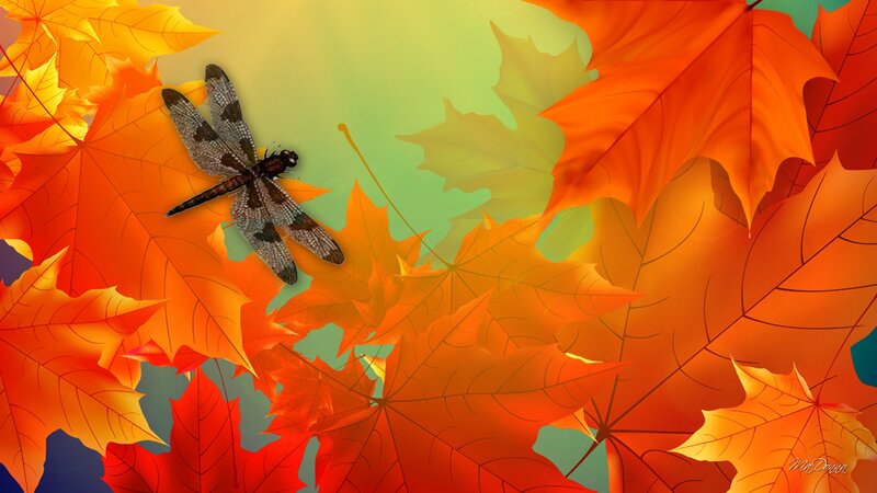 Dragonfly on Autumn Leaves