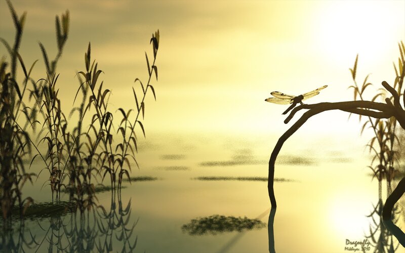 Dragonfly on Branch — Yellow, Serene, Sunset