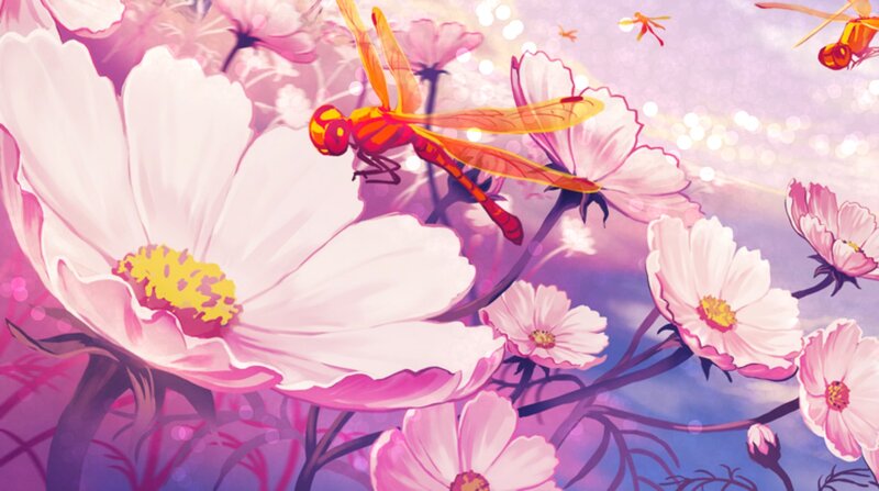 Dragonfly on Cosmos Flowers