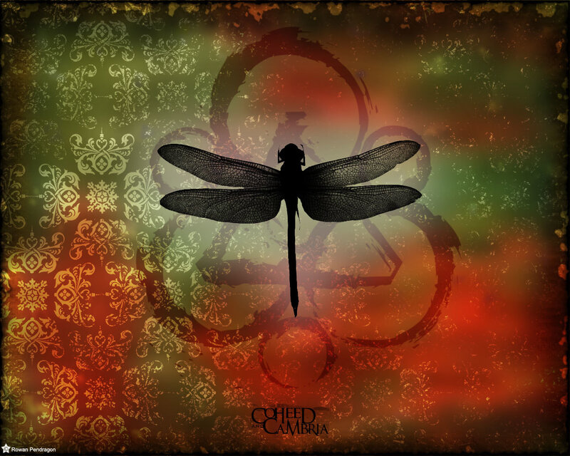 Dragonfly on ornate background