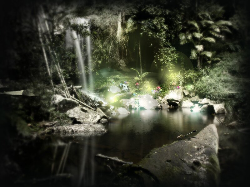 Dragonfly on Rock — Green, Mystical, Night