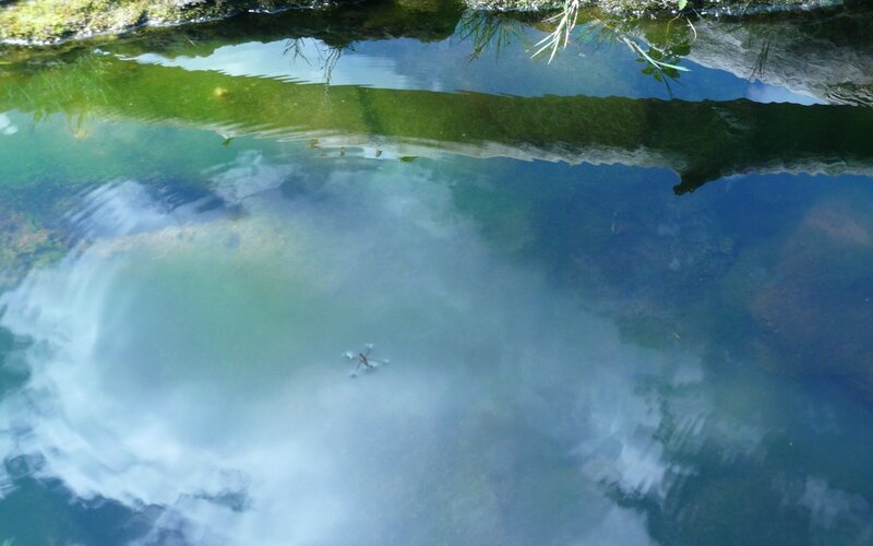 Dragonfly on Water — Blue