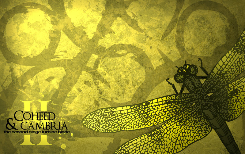 Dragonfly on Yellow Background