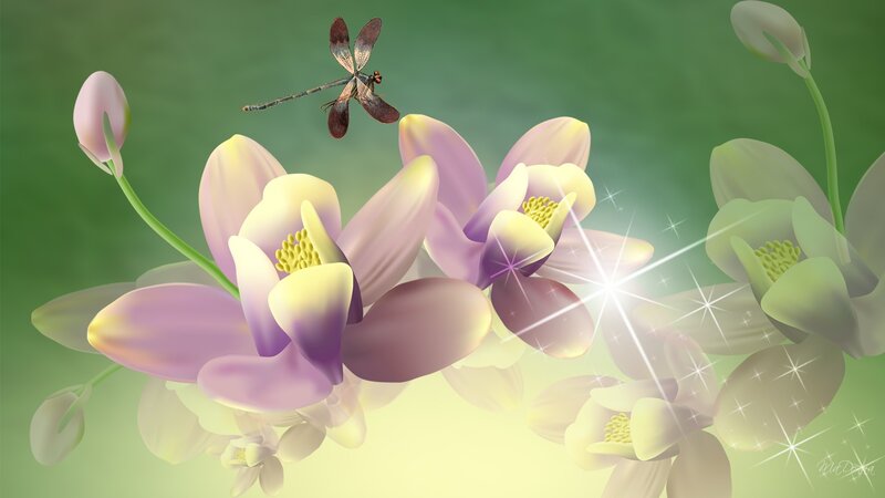 Dragonfly over Flowers
