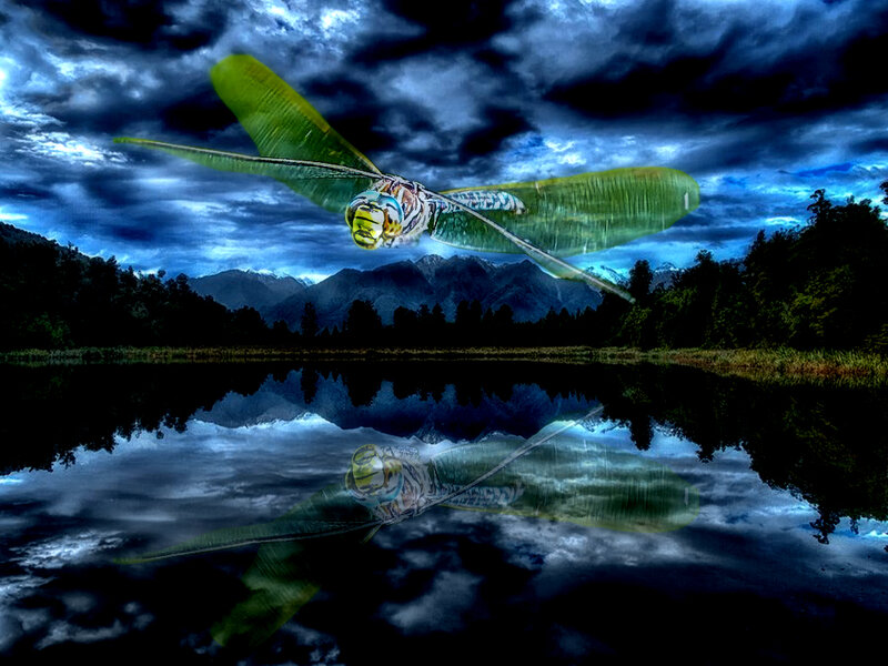 Dragonfly over Lake