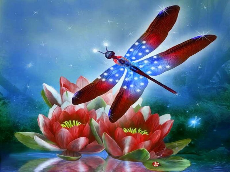 Dragonfly over Water Lilies