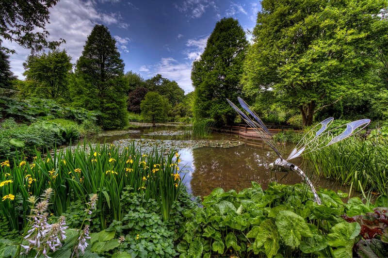 Dragonfly Sculpture in Pond