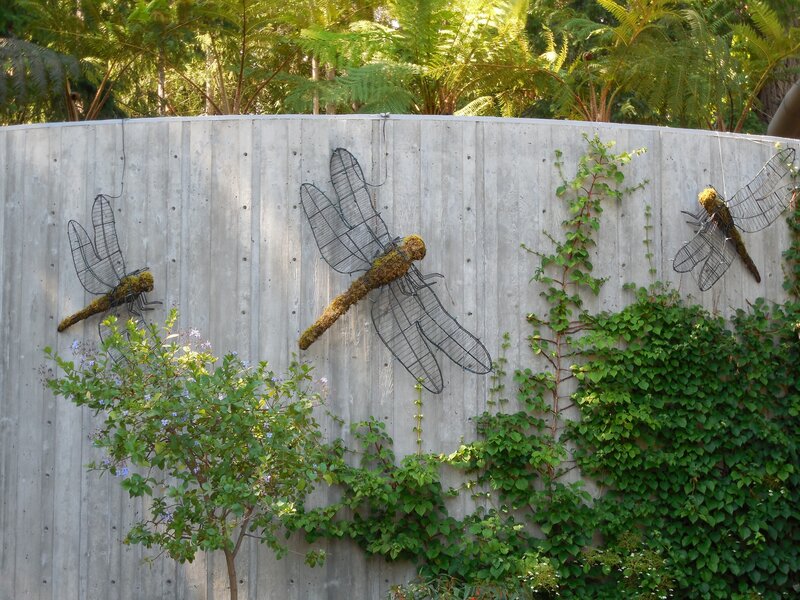 Dragonfly Sculptures on Wall