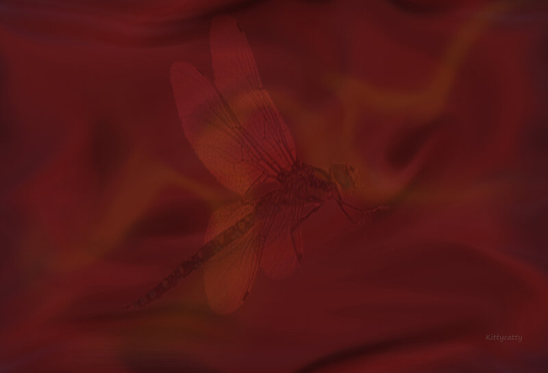Dragonfly Silhouette — Red