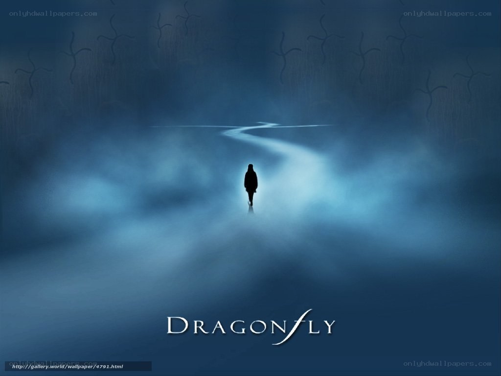dragonfly wallpaper