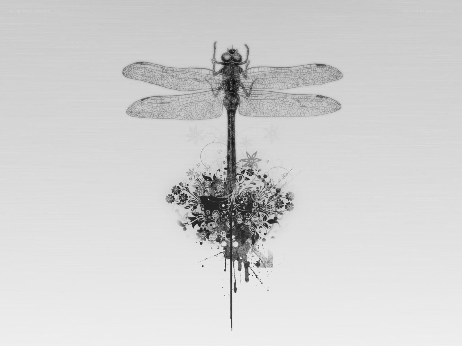 dragonfly with floral design