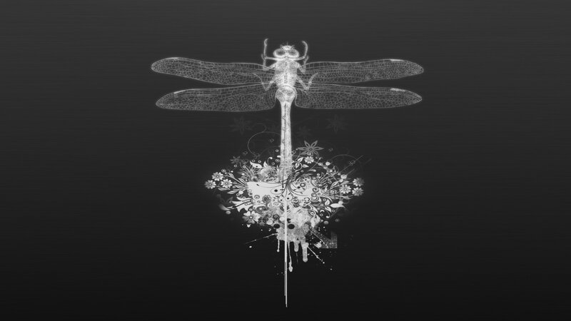 Dragonfly with Floral Design — Black