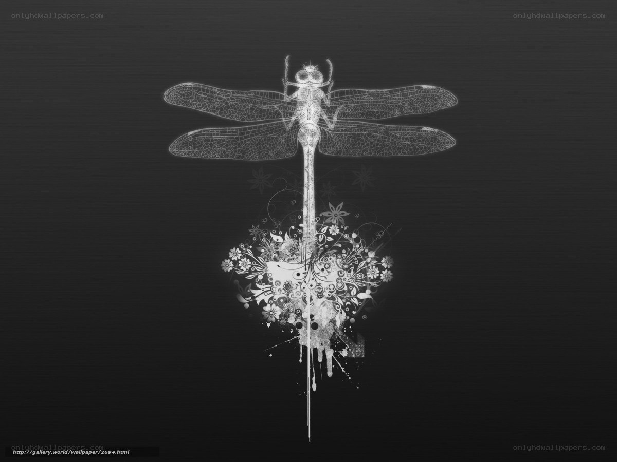 Dragonfly with floral design