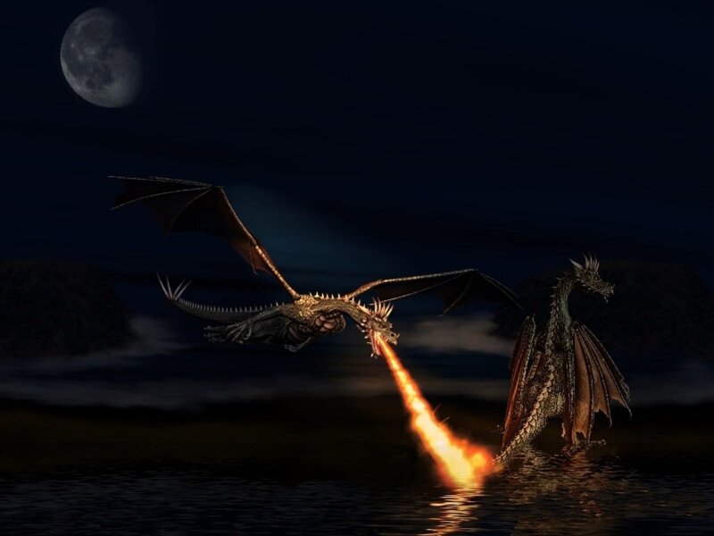 Dragons Fighting at Night