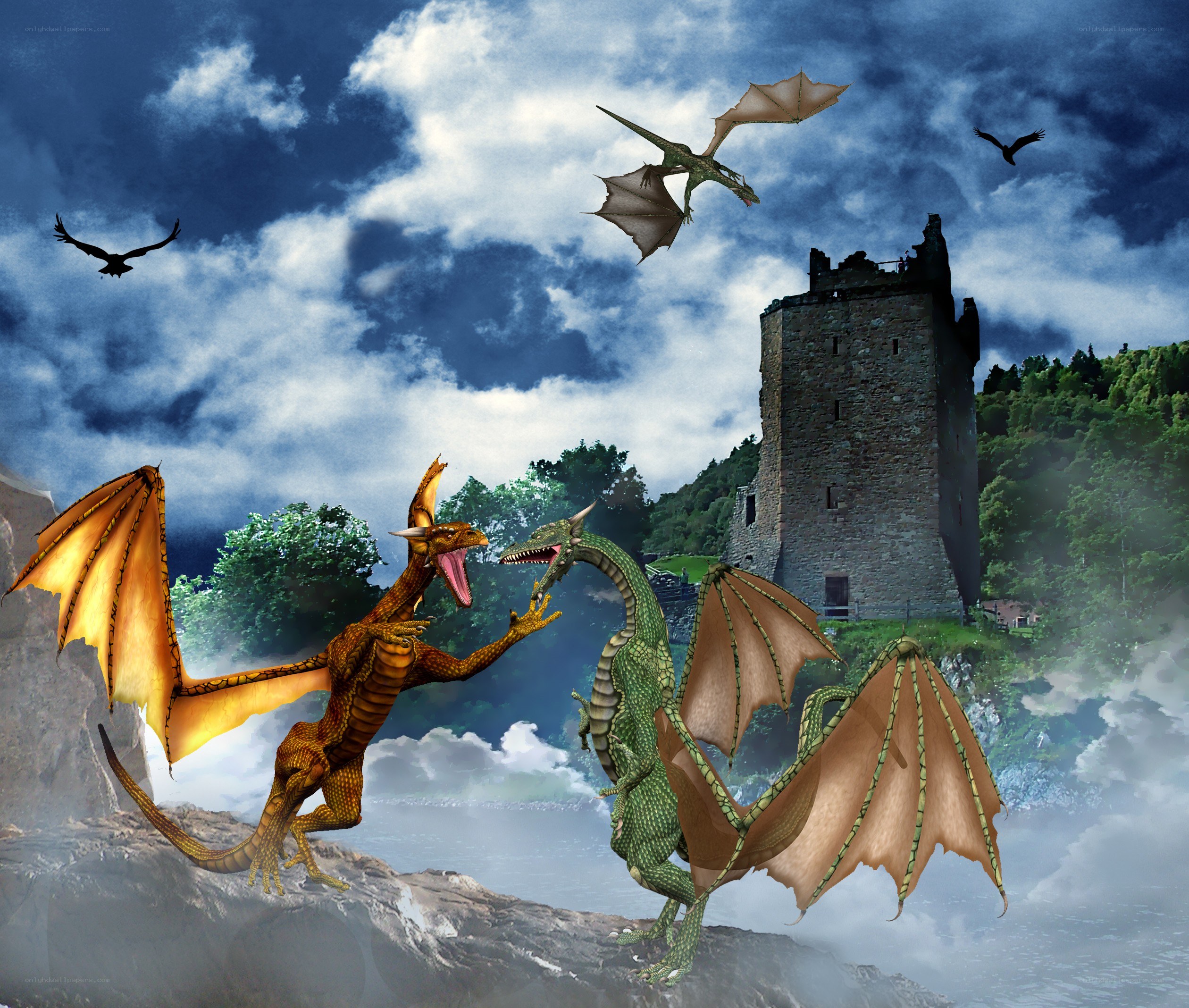 Dragons fighting on a cliff