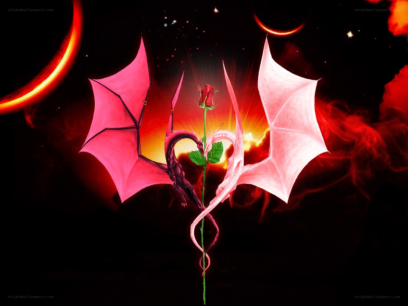 Dragons forming a heart with rose