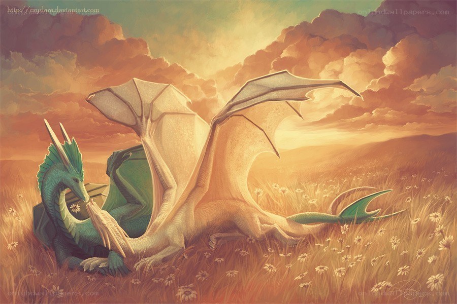 Dragons in a field at sunset