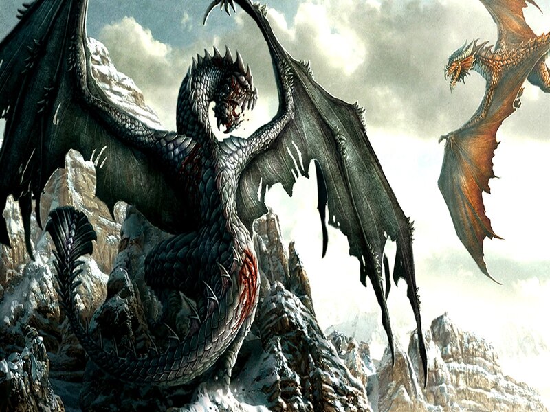 Dragons in a mountain battle