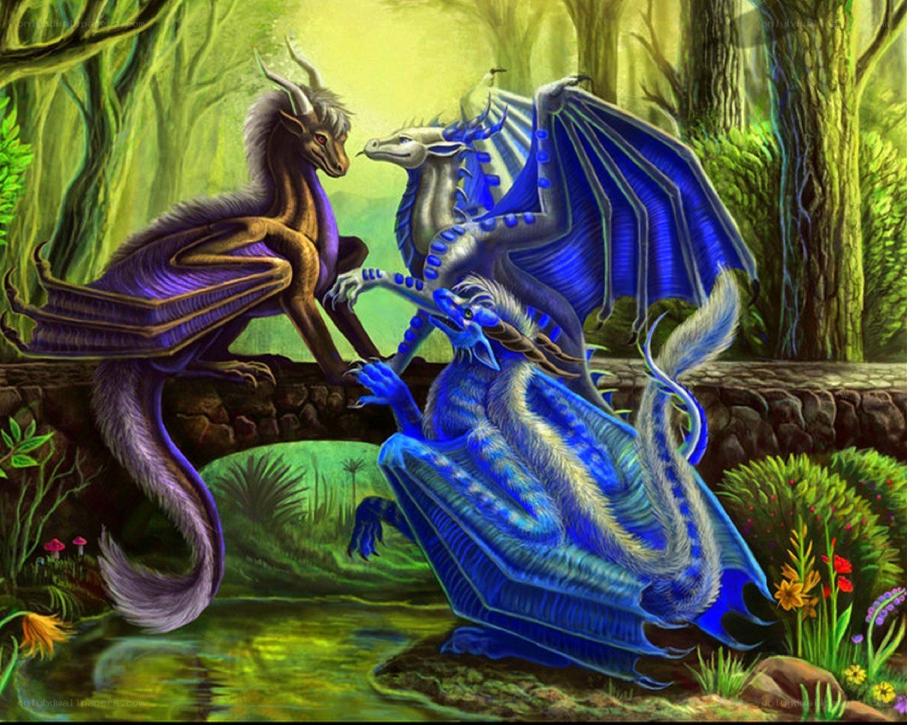 Dragons in a mystical forest