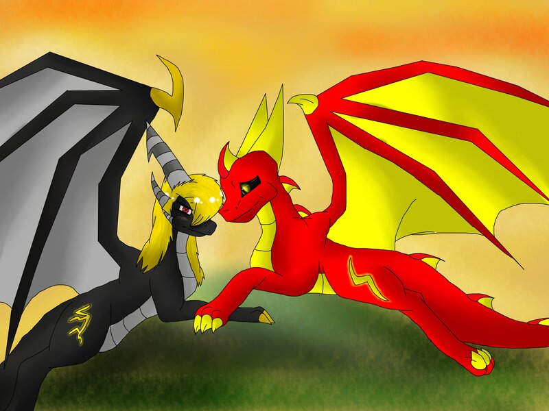 Dragons in a sunset duel