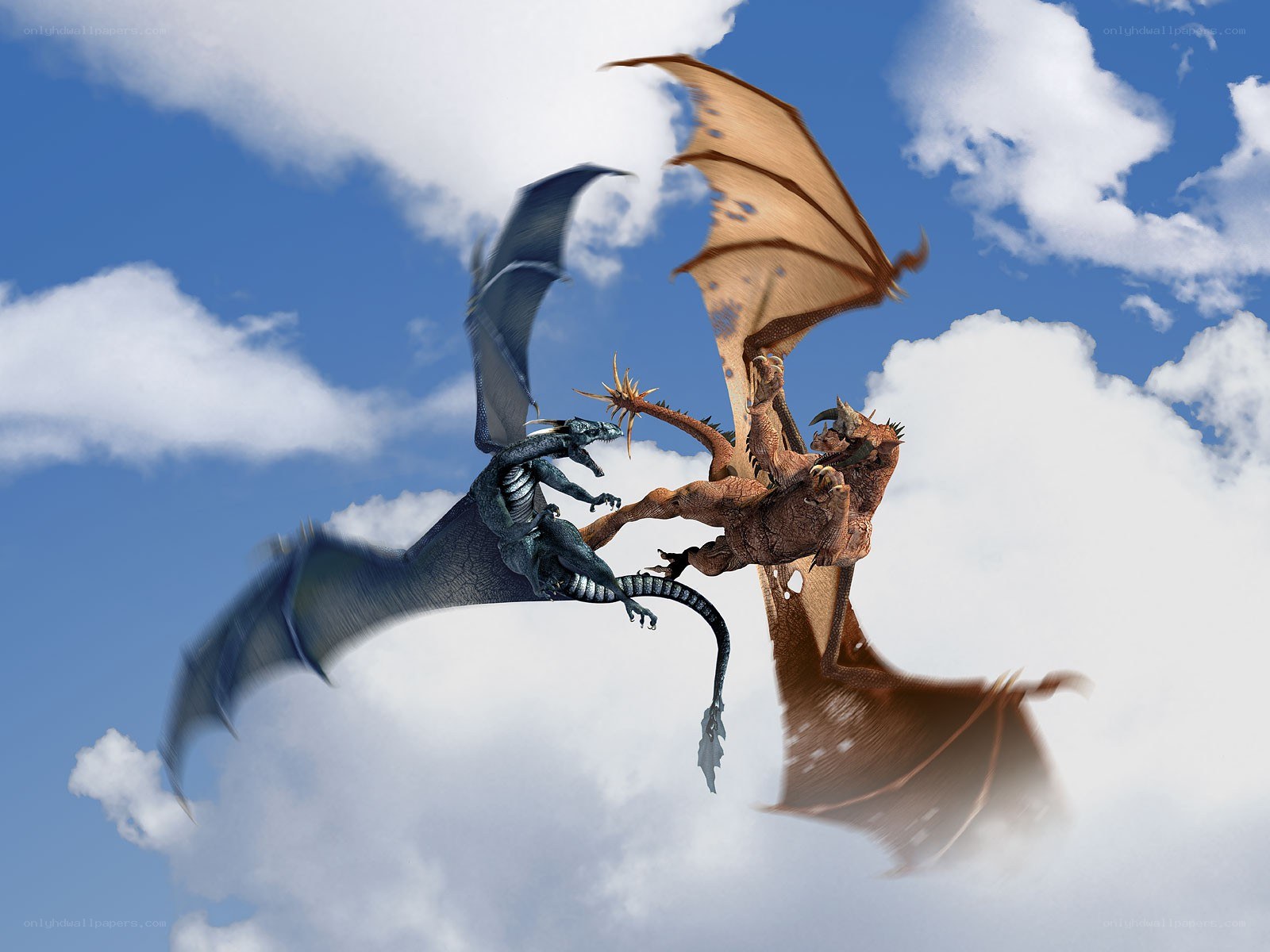 Dragons in aerial combat