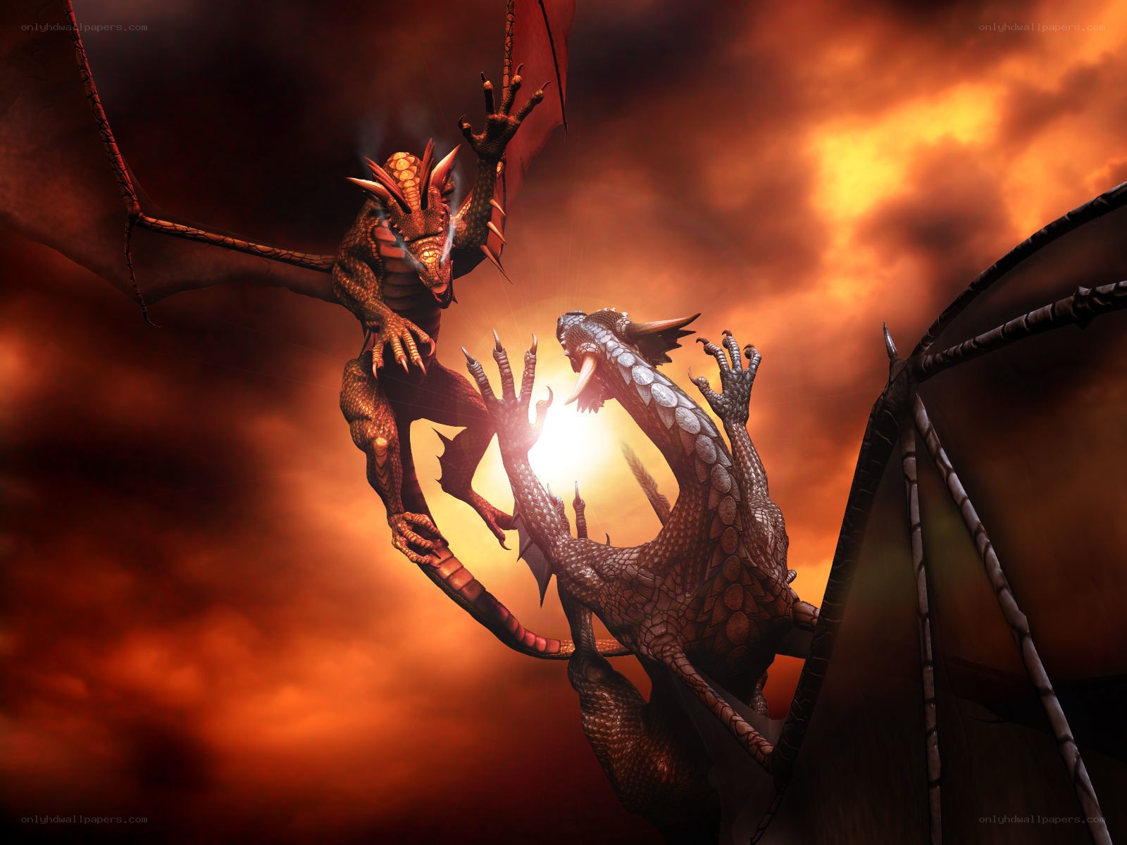 Dragons in fiery sky