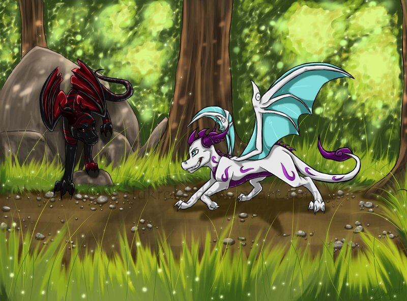 Dragons in the forest