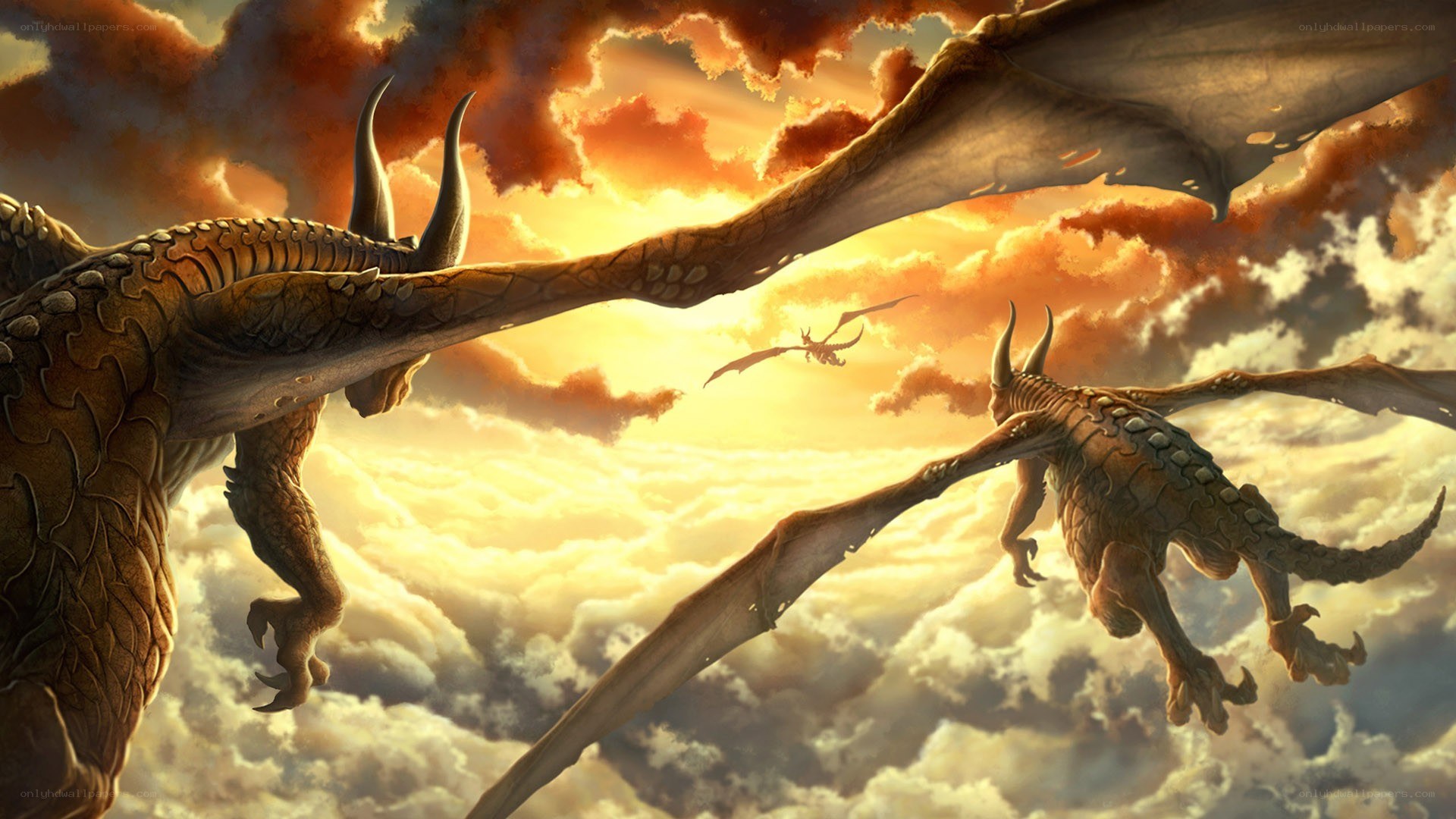 Dragons in the sunset sky
