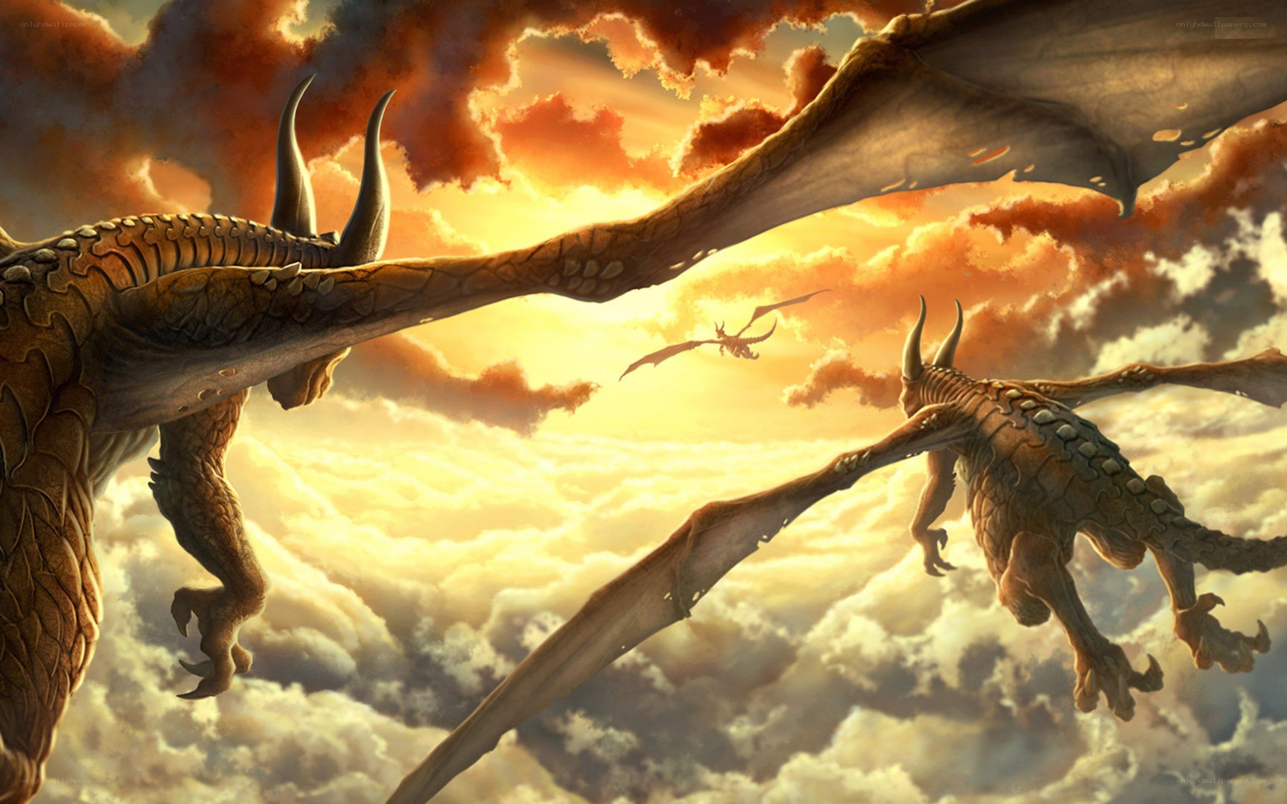 Dragons in the sunset sky