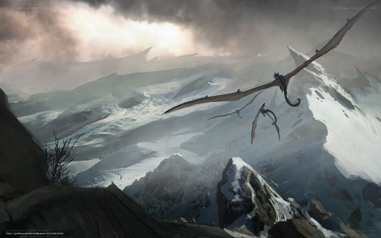 Dragons over snowy mountains